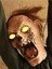 Tekno Trust Cadılar Bayramı Zombi Figürlü Asılabilir Halloween Hareketli Parti Dekoru 120 cm 4