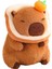 Capybara 30CM Ev Dekorasyonu Capybara (Yurt Dışından) 4