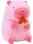 Oyuncak Ş Şkinler Için Hediyeler Çilek 40CM (Yurt Dışından) 4