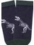 Çocuk 3lü Dinozor Desenli Patik Çorap ONL-02581 4