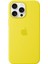 iPhone 16 Pro Max Silicone Case With Magsafe - Star Fruit 1