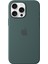 iPhone 16 Pro Max Silicone Case With Magsafe - Lake Green 1