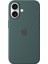 iPhone 16 Silicone Case With Magsafe - Lake Green 1