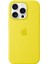 iPhone 16 Pro Silicone Case With Magsafe - Star Fruit 1