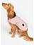 Quilted Köpek Kıyafeti PI12 Pınk 1
