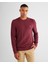 Erkek Bordo Regular Fit Bisiklet Yaka Kazak 8030210.638 1