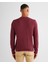 Erkek Bordo Regular Fit Bisiklet Yaka Kazak 8030210.638 2