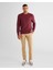 Erkek Bordo Regular Fit Bisiklet Yaka Kazak 8030210.638 3