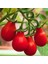Red Pear Kırmızı Ampül Domates Tohumu (15 Tohum) 1