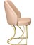 Delux Gold Sandalye 4