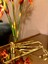 Gold Mum Aksesuar Seti 3