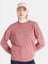 Regular Fit Baskılı Pembe Kadın Sweatshirt Cl1065885 1