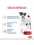 Royal Canin Starter Mousse Yavru Konserve Köpek Maması 195 gr 2