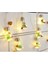 G50 String Lights Dekoratif Ampul Serisi 2 Metre 10 Adet 5