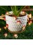 Mushroom Fairy String Lights LED Mantar Işıklar 3 Metre 30 LED 3