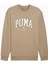 Squad Crew Erkek Bej Sweatshirt (681795-67) 1