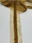 Boncuklu Şerit / Boncuk Işli Şerit / 1 Metre / Koyu Gold 1