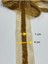 Boncuklu Şerit / Boncuk Işli Şerit / 1 Metre / Koyu Gold 2