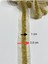 Boncuklu Şerit / Boncuk Işli Şerit / 1.35 Cm / Koyu Gold 3