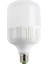 25W LED Ampul(Beyaz) Torch Cat CT-4330B 1