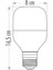 25W LED Ampul(Beyaz) Torch Cat CT-4330B 2