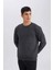 Regular Fit Bisiklet Yaka Jakarlı Sweatshirt D5394AX24AU 3
