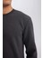 Regular Fit Bisiklet Yaka Jakarlı Sweatshirt D5394AX24AU 4