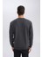Regular Fit Bisiklet Yaka Jakarlı Sweatshirt D5394AX24AU 5