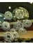 LED Aydınlatmalı 10 Kollu Modern Avize 1