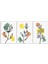 Dekoratif Sarı Yaprak Desen Bohem Retro Art Minimal 3lü Set Tablosu - MNT124 2