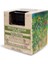 ORIGINAL BOTANIC Derinlemesine Vegan Temizleme Maskesi Kadın 250ml 3