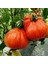Rote Pear Etli Armut Domates Tohumu (15 Tohum) 2