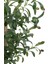 Siyah Saksıda 100 cm Yapay Zeytin Ağacı 2