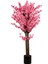 120 cm Pembe Bahardalı Ağacı 1
