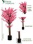 120 cm Pembe Bahardalı Ağacı 2