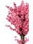 120 cm Pembe Bahardalı Ağacı 3