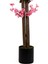 120 cm Pembe Bahardalı Ağacı 5
