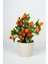 Beyaz Saksıda Canlı Görünümlü Yapay Mandalina Ağacı 25-28 cm Uzunluk 1