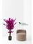 Gri Saksıda Mor Renkli Yapay Bahardalı Ağacı 100 cm 2