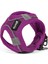 Köpek Tasması Gloria Air Mesh Trek Star Ayarlanabilir Mor Beden Xxxs (18-20 Cm) (Yurt Dışından) 4