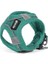 Köpek Tasması Gloria Trek Star 24-26 cm 28-28,6 cm Turkuaz Xxs (Yurt Dışından) 1