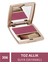 Bordo Allık & Burgundy Blusher - No: 306 1