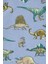 Küçük Erkek Çocuk Pijama Set 4'lü Paket 3