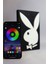 Playboy - Rgb Led Işıklı 3 Boyutlu Tabela - 13cm X 20cm X 2cm (Bluetooth Kontrollü) 2