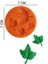 Şeker Hamur Kalıbı Silikon Çınar Yaprakları 7*7 cm 1