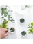Jamtskogen Kokulu Mum Tealight 30 Adet 2