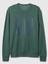 Erkek Yeşil Gap Logo Fleece Sweatshirt 2