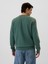 Erkek Yeşil Gap Logo Fleece Sweatshirt 4
