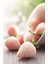 Açık Pembe Çilek Fidanı (Fragaria Sylvestris Alba) 1-2 Yaşında Saksılı ve Meyve Vermeye Hazır 1