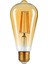 Armut Kateli Rustik 2700 K Sarı LED Filament Bulb 50 Bin Saat Garantili Dekoratif E27 Duy 4 W Dekoratif Cafe Ampulü ST64 4